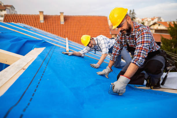 Best Roof Inspection  in Morton, PA