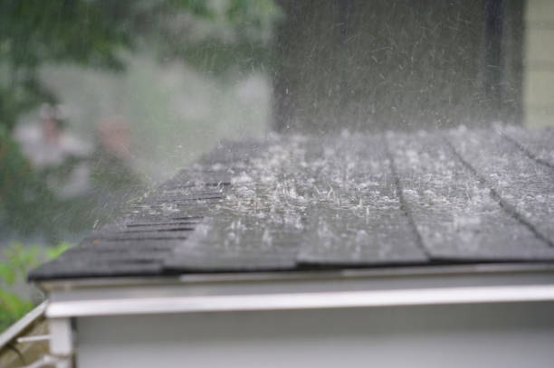 Best Roof Installation  in Morton, PA