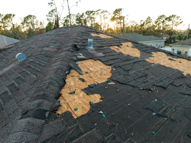 Best Rubber Roofing (EPDM, TPO)  in Morton, PA