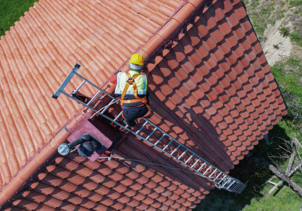 Best Cold Roofs  in Morton, PA