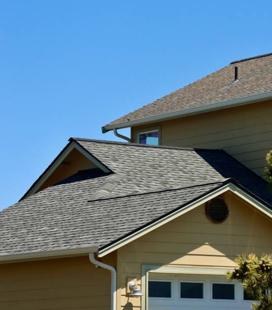 Best Gutter Installation and Repair  in Morton, PA